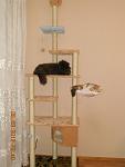     
: DSCN2888.jpg
: 51
:	57.9 
ID:	3901990