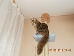     
: DSCN2895.jpg
: 28
:	62.4 
ID:	3902000