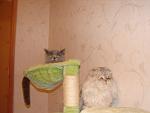     
: DSC02921.jpg
: 56
:	91.5 
ID:	3902198