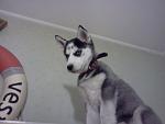     
: IMG004.jpg
: 45
:	77.6 
ID:	3905567