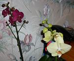     
: P1130060_hf.jpg
: 46
:	126.9 
ID:	3908298