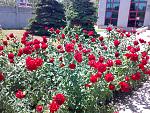     
: 09062009632.jpg
: 15
:	306.0 
ID:	3910772