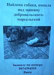     
: Фото3412.jpg
: 165
:	24.4 
ID:	3914694