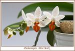     
: dea1a3c8f055.jpg
: 21
:	48.0 
ID:	3916121