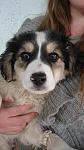     
: DSC07180.jpg
: 93
:	71.2 
ID:	3916574