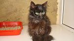     
: DSC07166.jpg
: 26
:	85.3 
ID:	3916595
