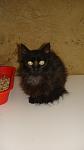     
: DSC07167.jpg
: 21
:	45.4 
ID:	3916596