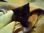     
: DSC00371.jpg
: 30
:	95.7 
ID:	3917024