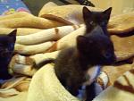     
: DSC00377.jpg
: 29
:	106.9 
ID:	3917027