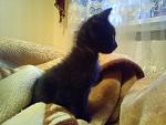     
: DSC00374.jpg
: 34
:	106.6 
ID:	3917028