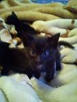     
: DSC00361.jpg
: 34
:	61.2 
ID:	3917030