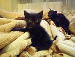     
: DSC00364.jpg
: 24
:	121.2 
ID:	3917033