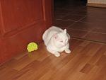     
: IMG_0852.jpg
: 73
:	153.3 
ID:	3917170