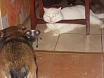     
: IMG_0849.jpg
: 78
:	184.4 
ID:	3917172