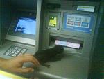     
: DSC02378.jpg
: 37
:	148.7 
ID:	3917191