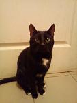     
: DSC00381.jpg
: 24
:	48.7 
ID:	3917198