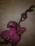     
: 08032012517.jpg
: 52
:	98.3 
ID:	3917206
