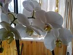     
: 08032012498.jpg
: 41
:	92.2 
ID:	3917237