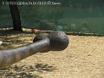     
: IMG_8348.JPG
: 84
:	107.9 
ID:	3926748