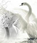     
: 9-ru-dc2c6ccbc5ab10f6ad5312f93e88a760.jpg
: 86
:	136.8 
ID:	3932424