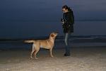     
: x_b0eba689.jpg
: 29
:	31.2 
ID:	3933451