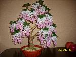     
: IMG_0125.jpg
: 32
:	198.4 
ID:	3933574