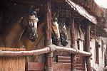     
: IMG_2766.jpg
: 187
:	146.4 
ID:	3934258