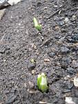     
: IMG_0675.jpg
: 9
:	91.6 
ID:	3949369