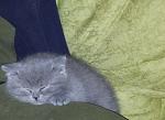     
: 20120314_174249-1.jpg
: 86
:	235.5 
ID:	3951529