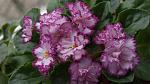     
: DSC08259.jpg
: 47
:	97.8 
ID:	3952633
