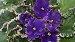     
: DSC08342.jpg
: 43
:	133.4 
ID:	3952634