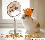     
: утро.jpg
: 11
:	7.3 
ID:	3953217