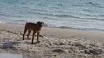     
: IMG_0577.jpg
: 36
:	171.4 
ID:	3954080