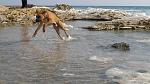     
: IMG_0591.jpg
: 48
:	141.8 
ID:	3954083