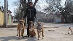     
: IMG_0731.jpg
: 46
:	192.7 
ID:	3954085