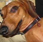     
: Wellik.jpg
: 31
:	184.9 
ID:	3955410
