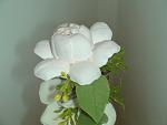     
: DSC04202.jpg
: 9
:	65.7 
ID:	3957029