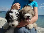     
: DSC07905.jpg
: 47
:	149.0 
ID:	3962304
