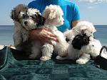     
: DSC07880(1).jpg
: 38
:	156.6 
ID:	3962308