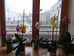     
: DSC00838.jpg
: 63
:	125.9 
ID:	3962328
