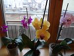     
: DSC00844.jpg
: 60
:	122.9 
ID:	3962346