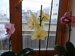     
: DSC00845.jpg
: 52
:	105.9 
ID:	3962361