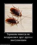     
: тт.jpeg
: 20
:	8.1 
ID:	3964525