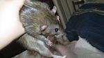     
: IMG_6613.jpg
: 36
:	30.2 
ID:	3964661