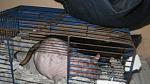     
: IMG_6641.jpg
: 21
:	40.1 
ID:	3964705