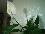     
: DSC04173.jpg
: 26
:	62.7 
ID:	3966852