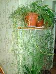     
: DSC04166.jpg
: 25
:	147.1 
ID:	3966913