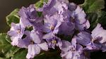     
: DSC08348.jpg
: 23
:	94.2 
ID:	3969288