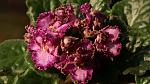     
: DSC08351.jpg
: 27
:	114.4 
ID:	3969313