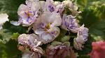     
: DSC08358.jpg
: 36
:	86.8 
ID:	3969349